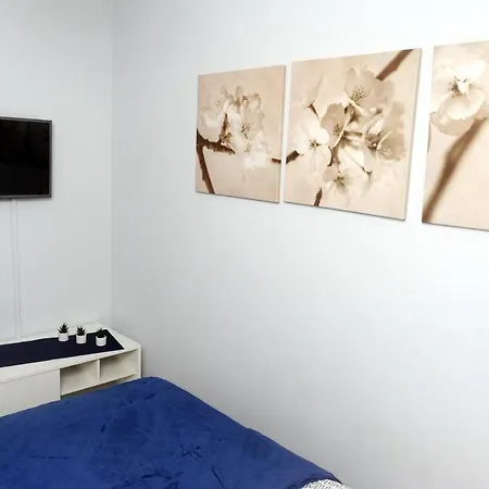 Apartament Ster דירה